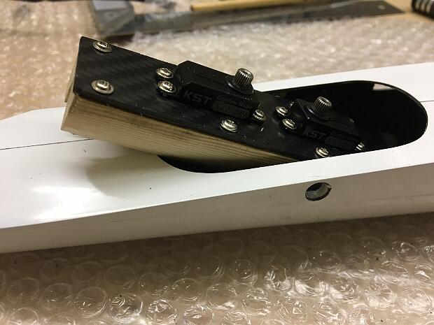 RCRCM 300 Segler und Elektro Doppel Carbon